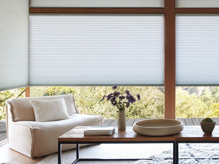 Duette® Architella® Honeycomb Shades Fabric: Elan®  Color: Julep